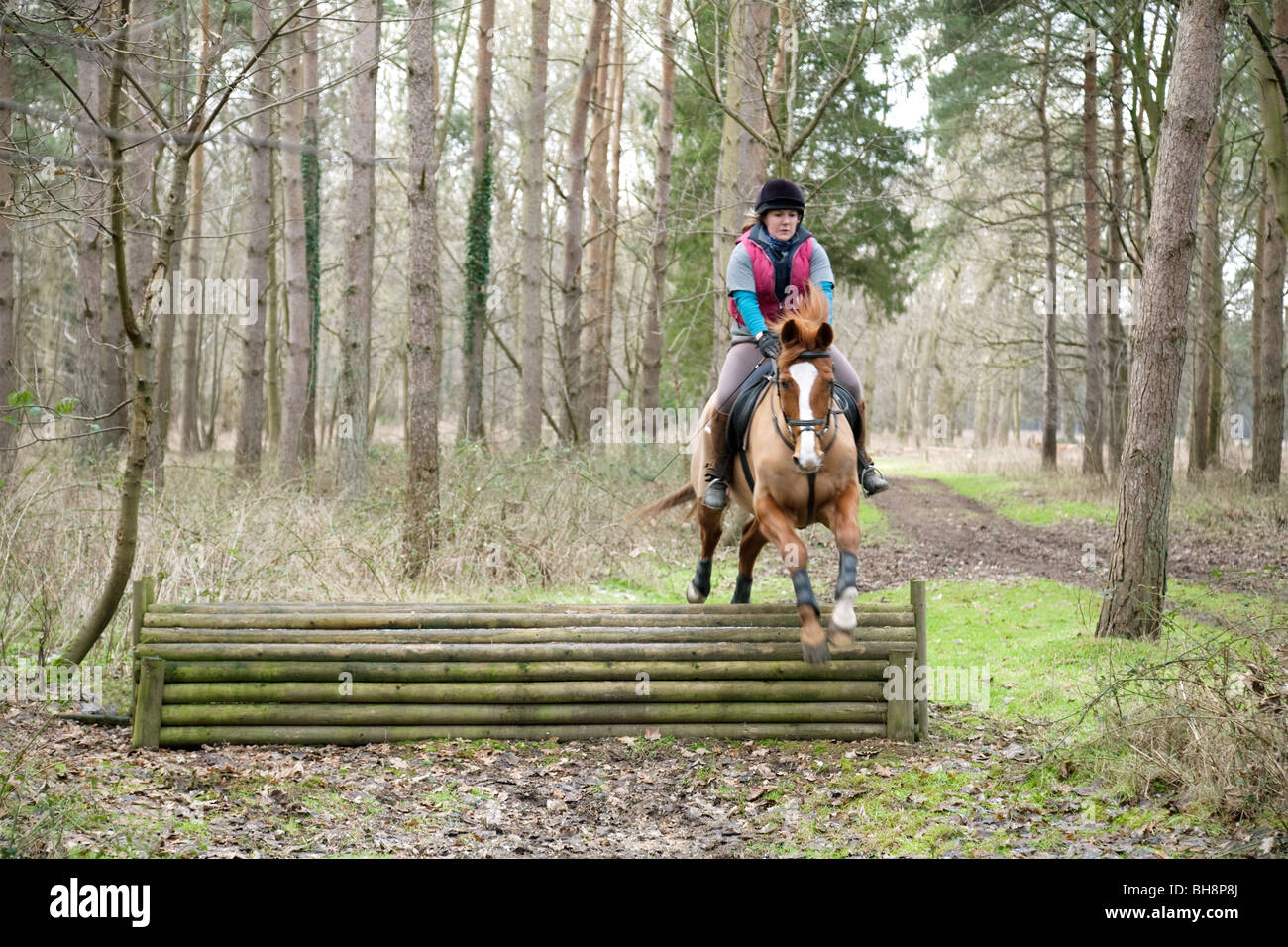 A teenage girl and her horse jump a fence, Elveden estate, Thetford