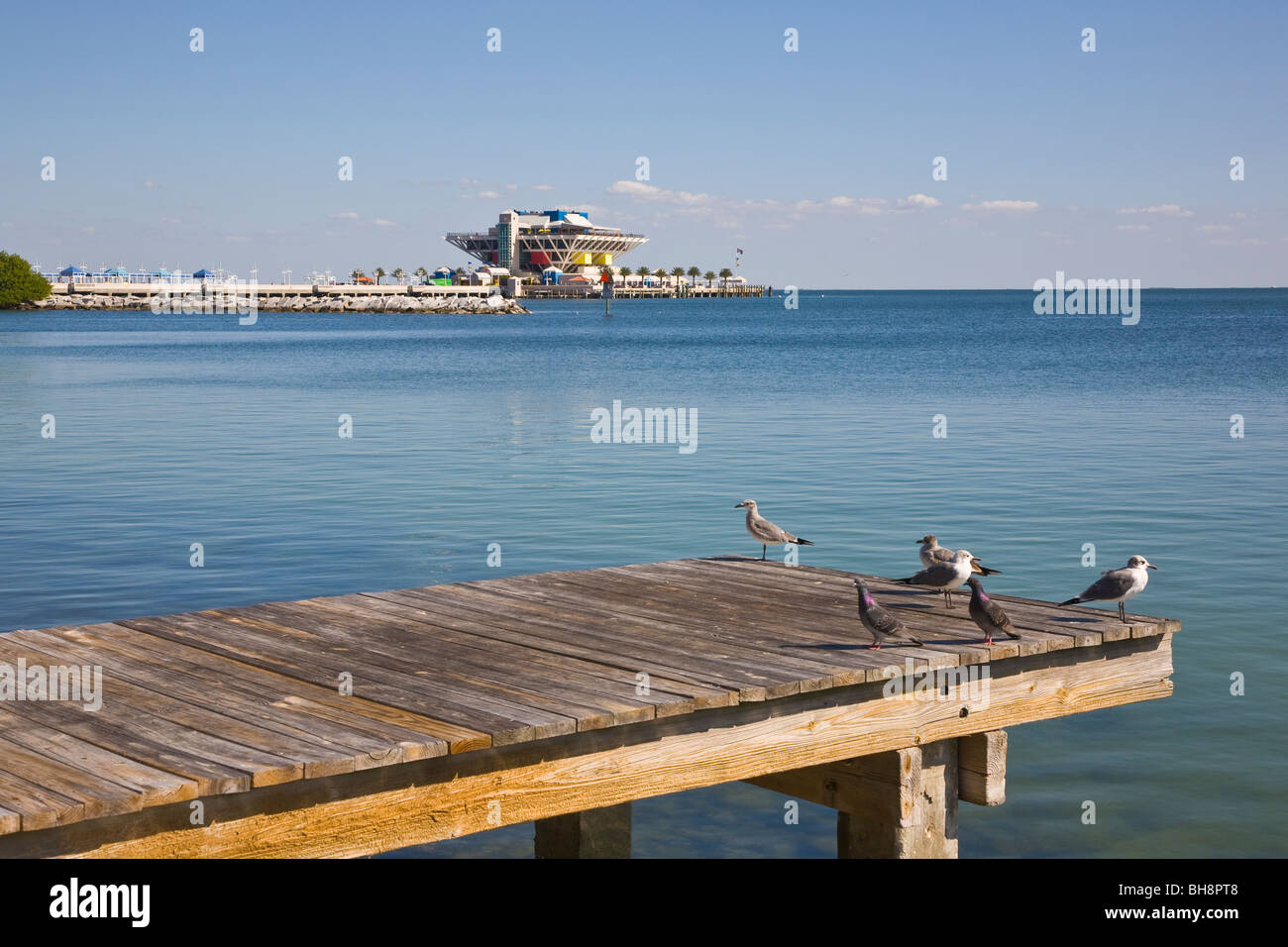 st petersburg fl the pier