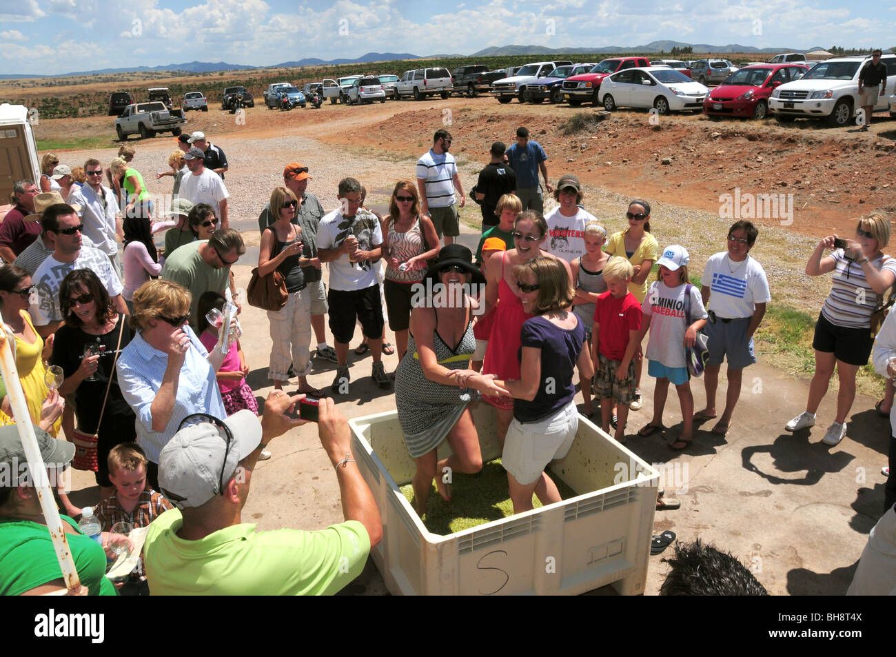 Harvest festival at Sonoita Vineyards, Elgin, Arizona, USA Stock Photo