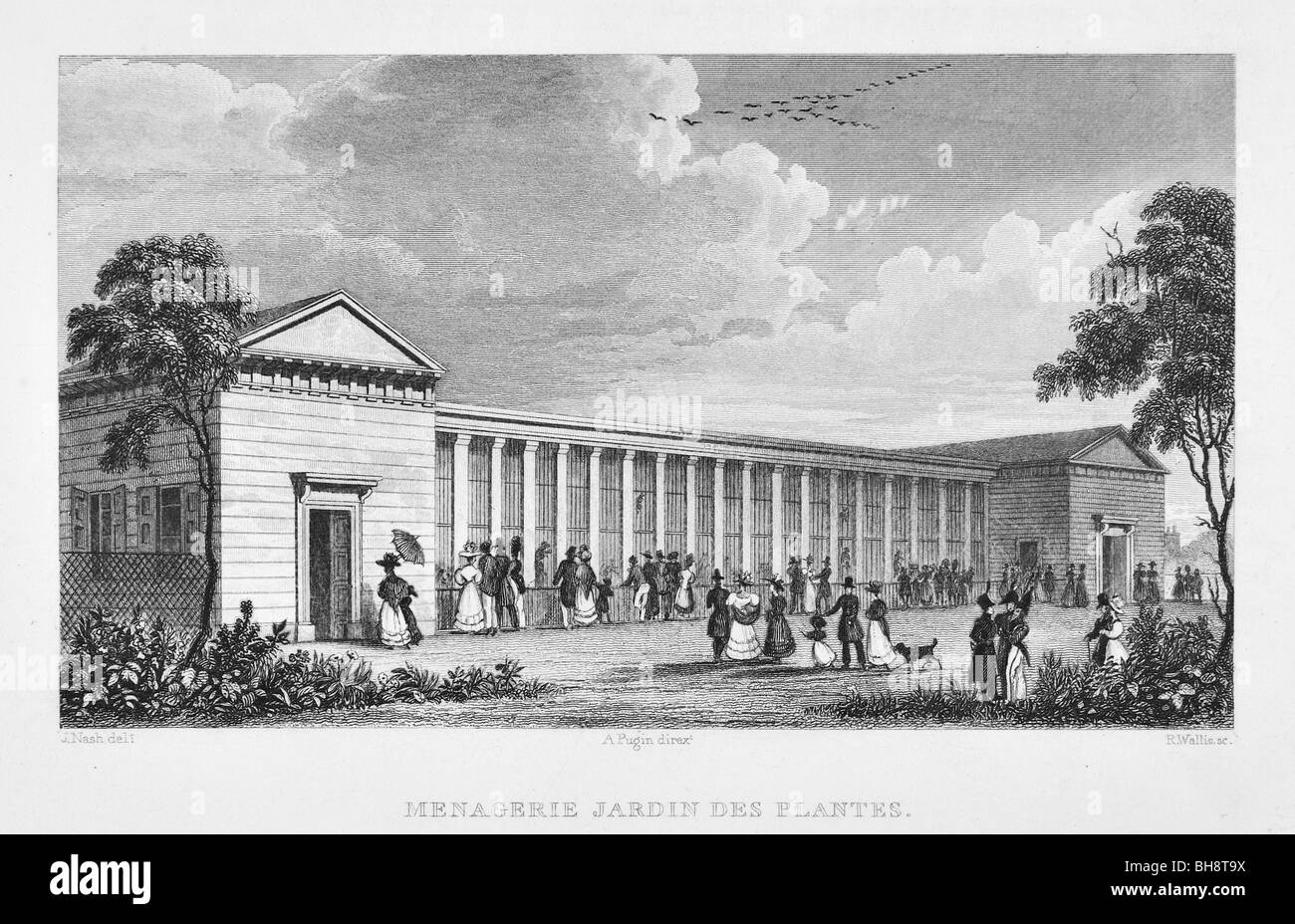 Menagerie Jardin Des Plantes Paris