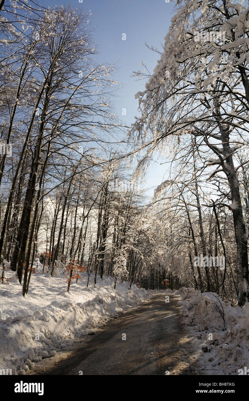 Winter scene, lonely road in a forest of Gorski kotar, Croatia Stock Photo