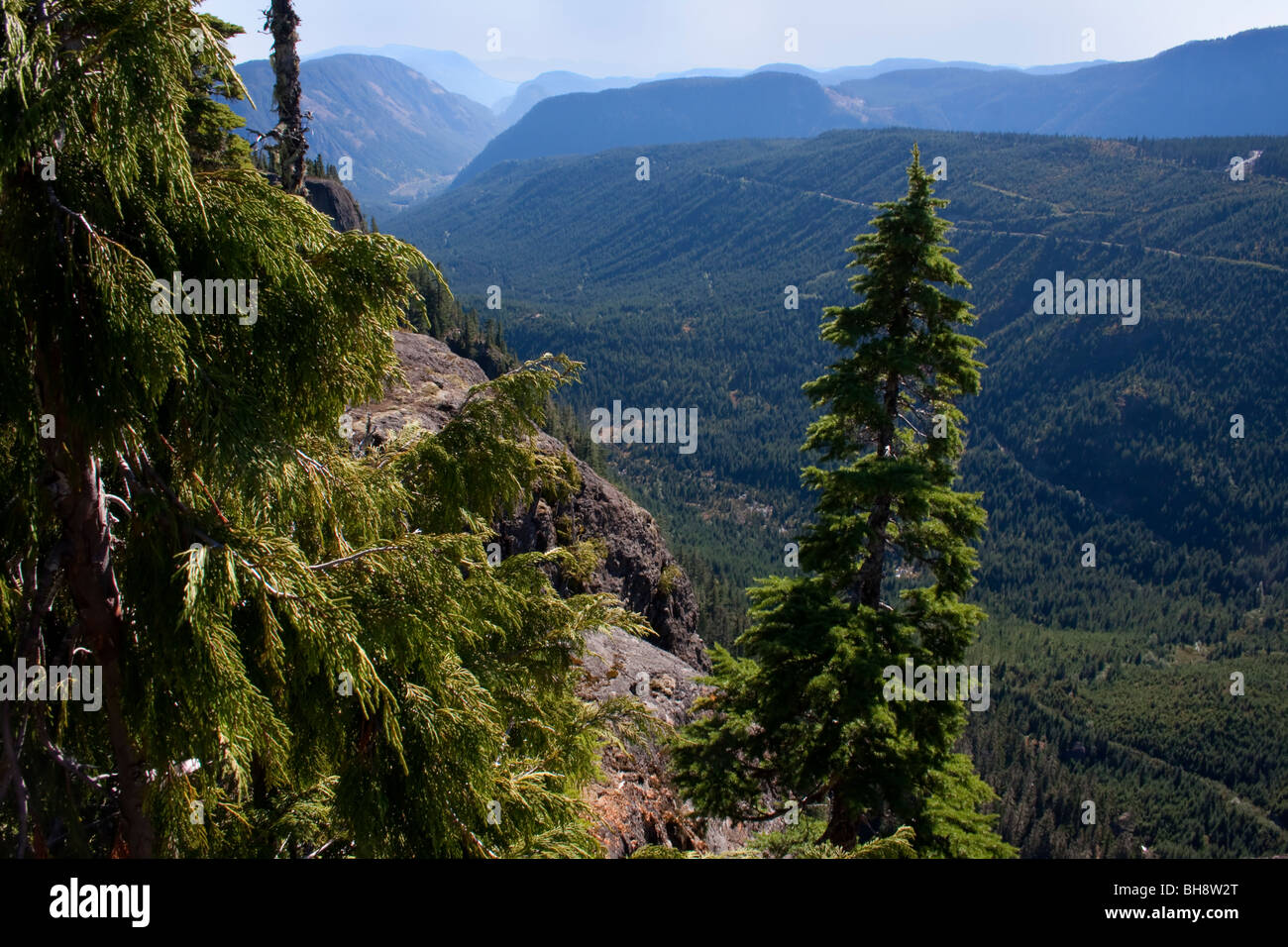 Cruickshank Canyon from the Forbidden Plateau Strathcona Park Vancouver Island BC Canada in October Stock Photo
