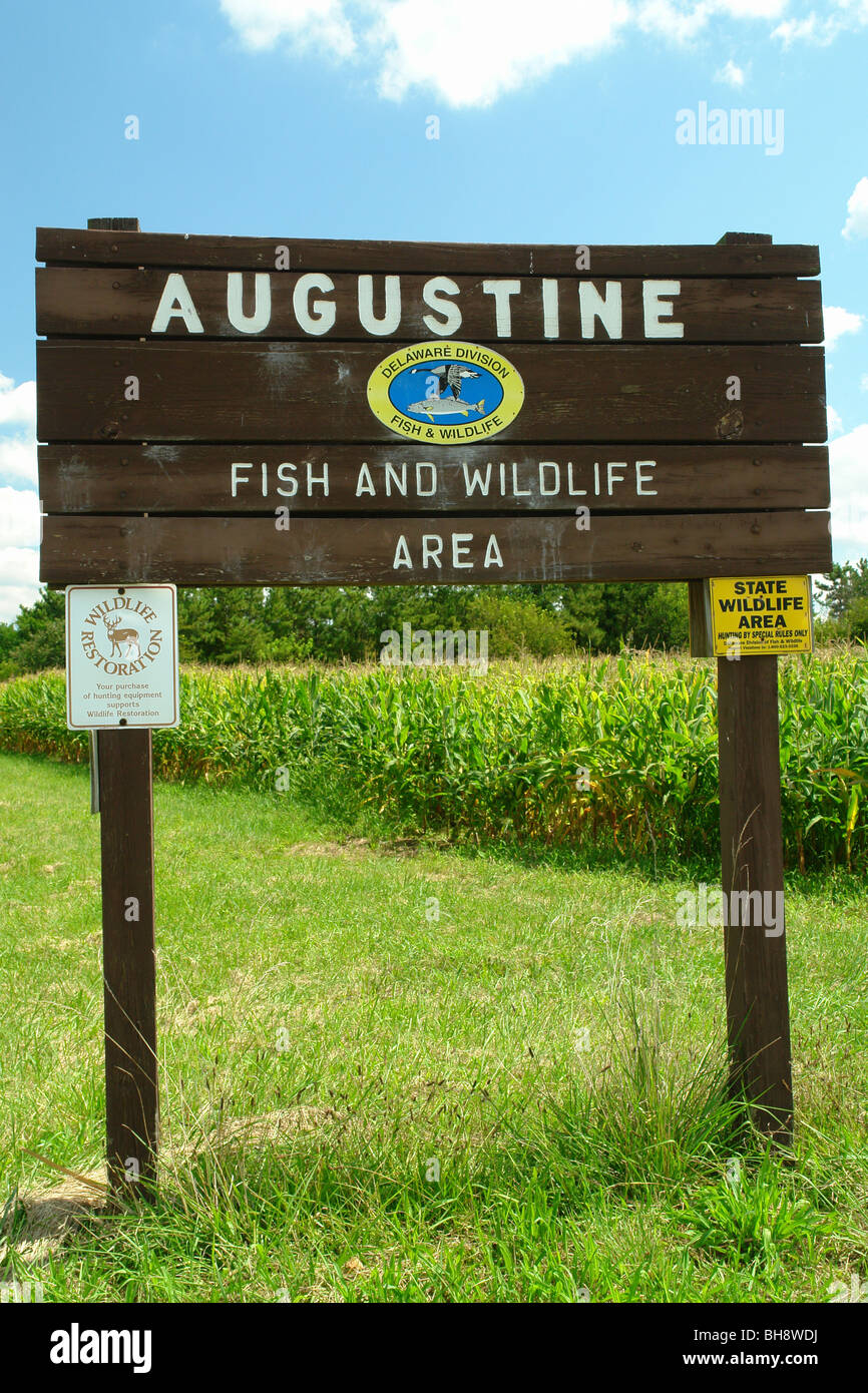 Augustine Wildlife Area Delaware Ajd64008, Augustine Fish And Wildlife Area, De, Delaware, Entrance Sign  Stock Photo - Alamy