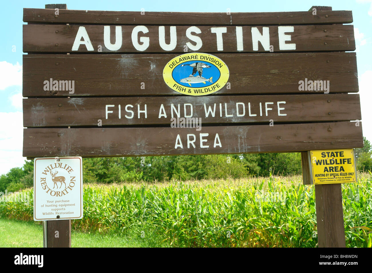 Augustine Wildlife Area Delaware Augustine Wildlife Preserve High Resolution Stock Photography And Images -  Alamy