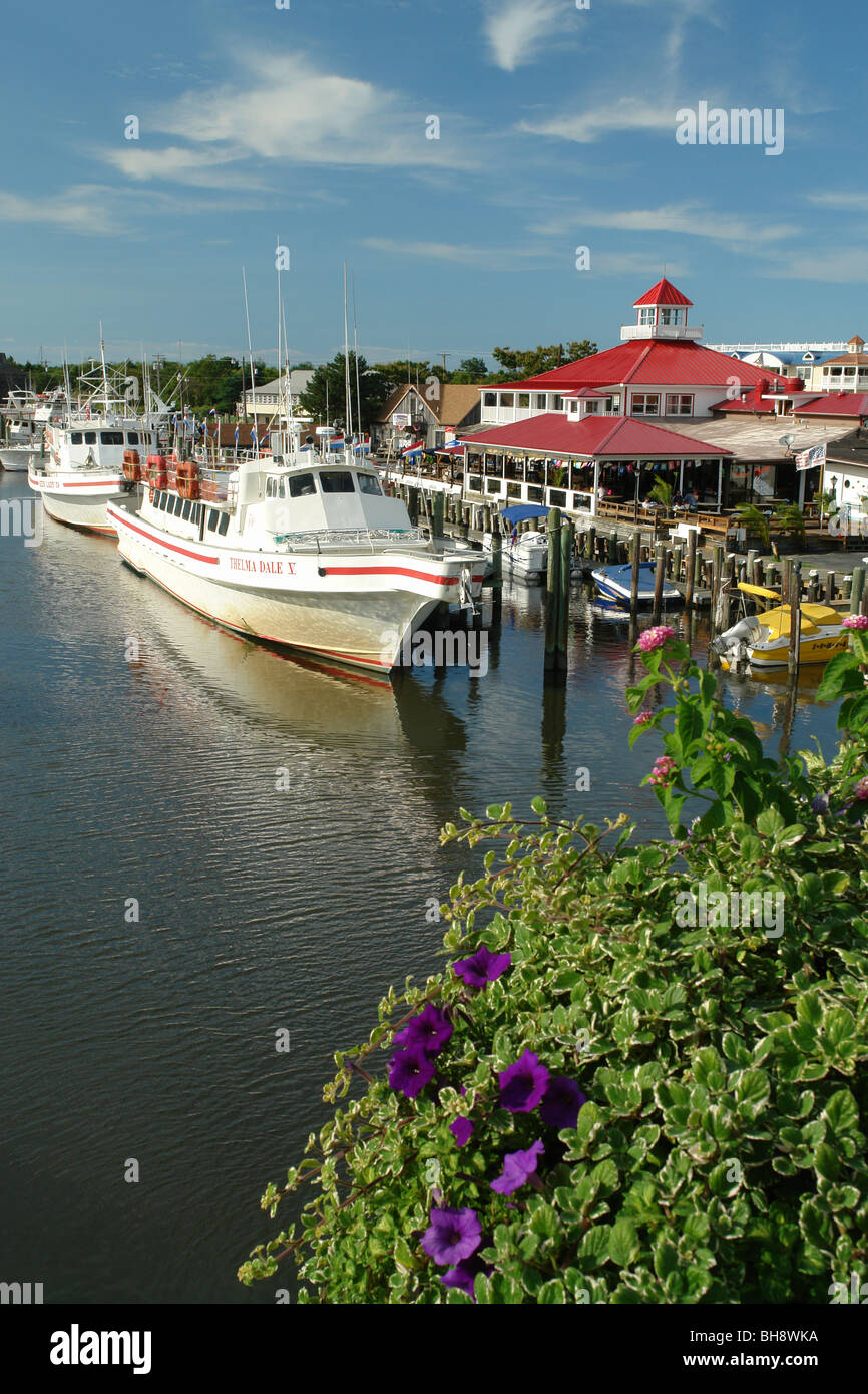 AJD64051, Lewes, DE, Delaware, Fisherman's Wharf, Dolphin & Whale watching cruises Stock Photo