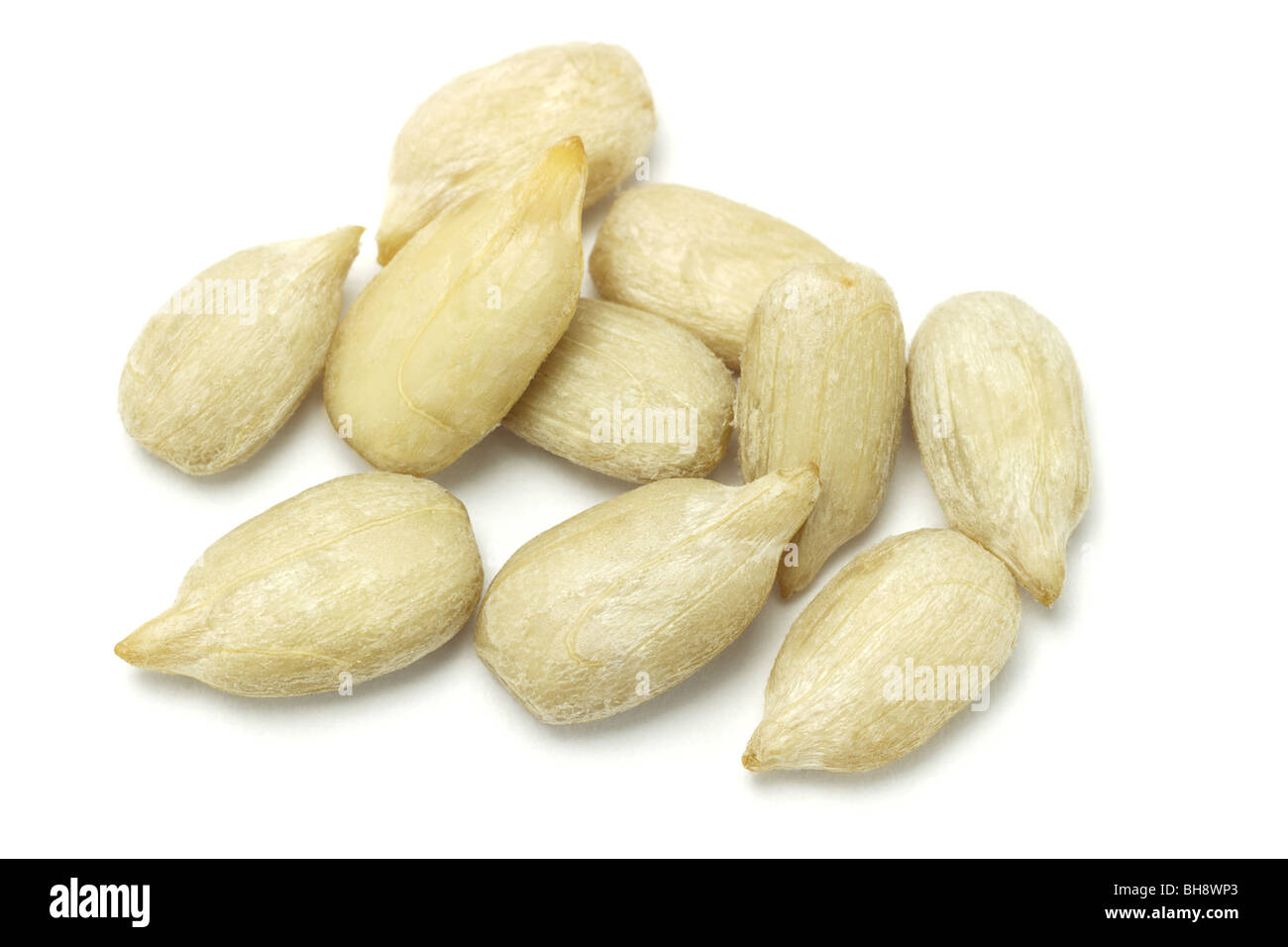 Sunflower seed kernels isolated on white background Stock Photo Alamy