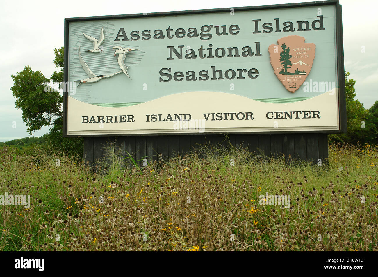 assateague island national seashore visitor center assateague island national seashore visitor center