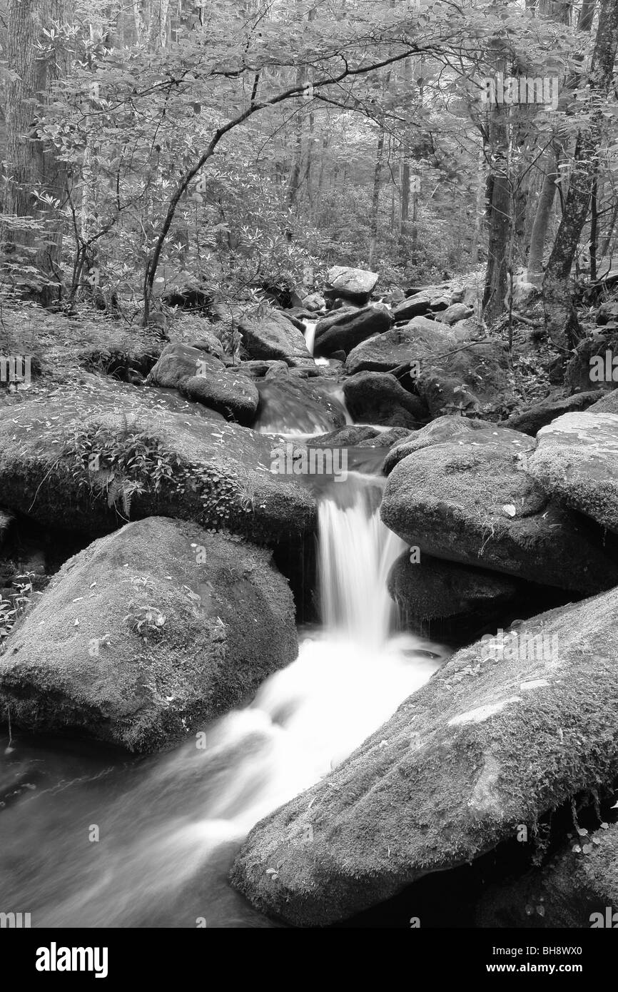 Tn tennessee great smoky Black and White Stock Photos & Images - Alamy