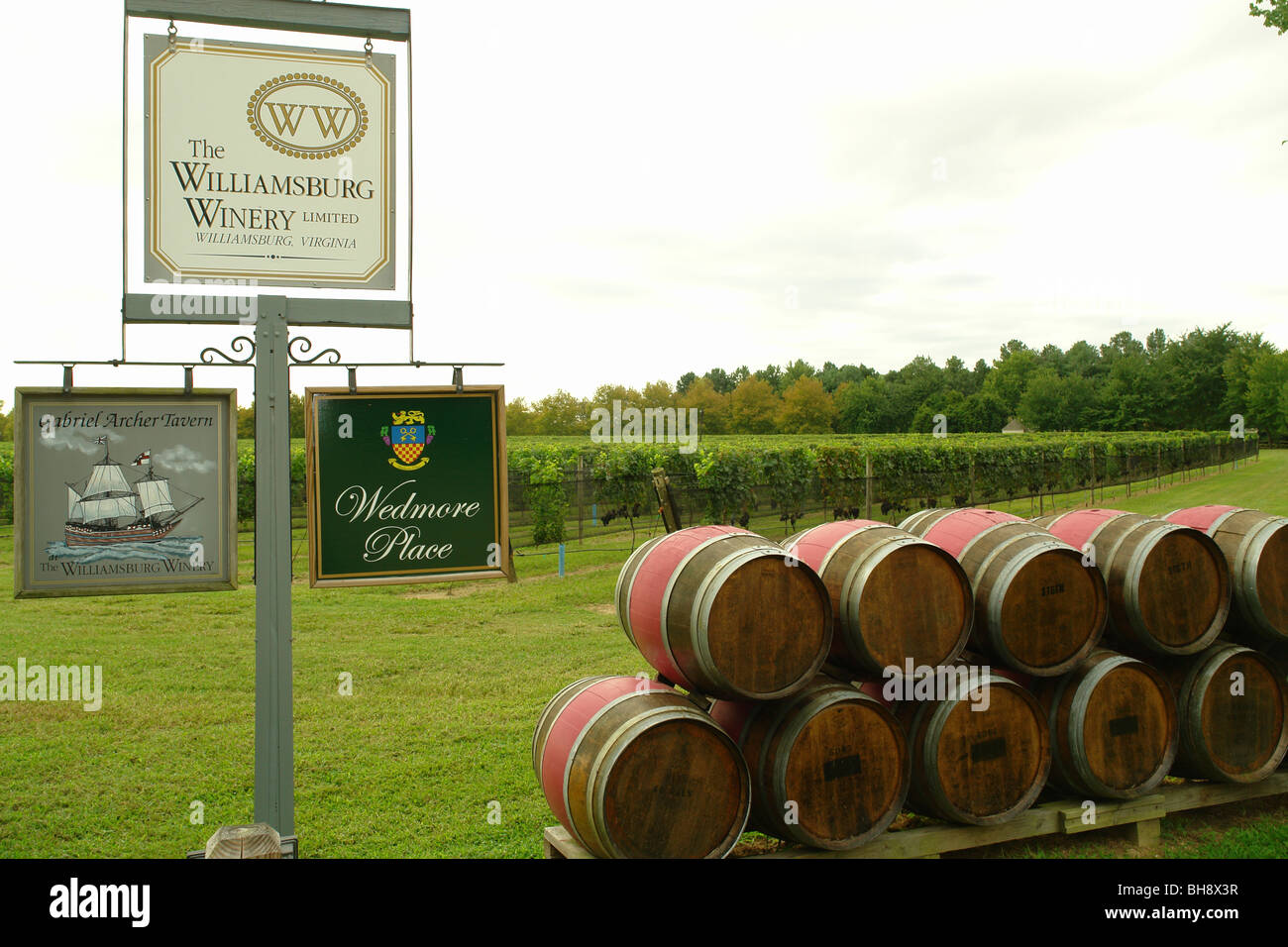 AJD64138, Williamsburg, VA, Virginia, The Williamsburg Winery, Gabriel