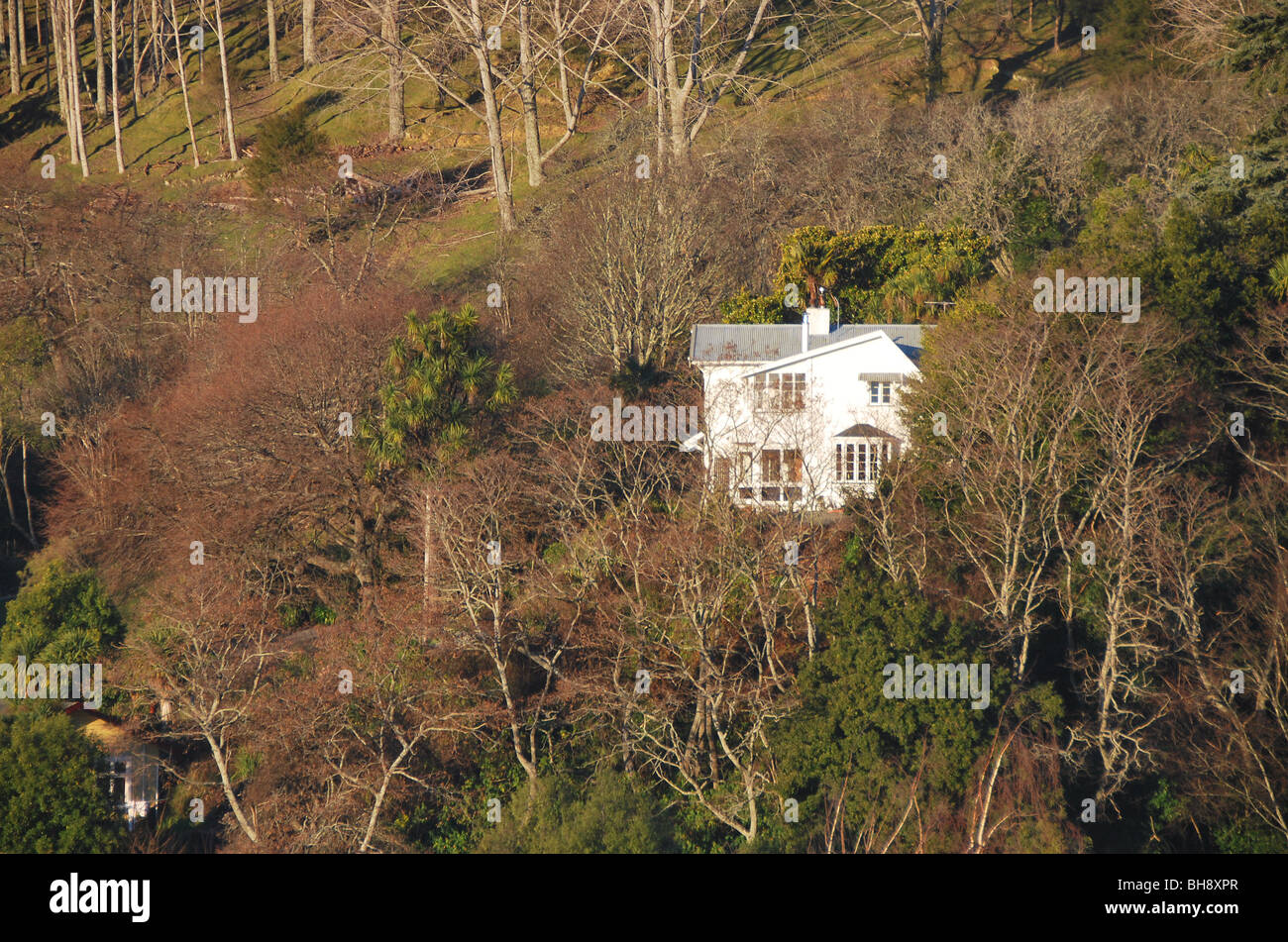 White House On Wooded Hillside Nelson South Island New - 