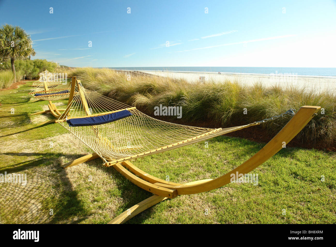 AJD64836, Hilton Head Island, SC, South Carolina, Atlantic Ocean, resort, beach, hammocks Stock Photo