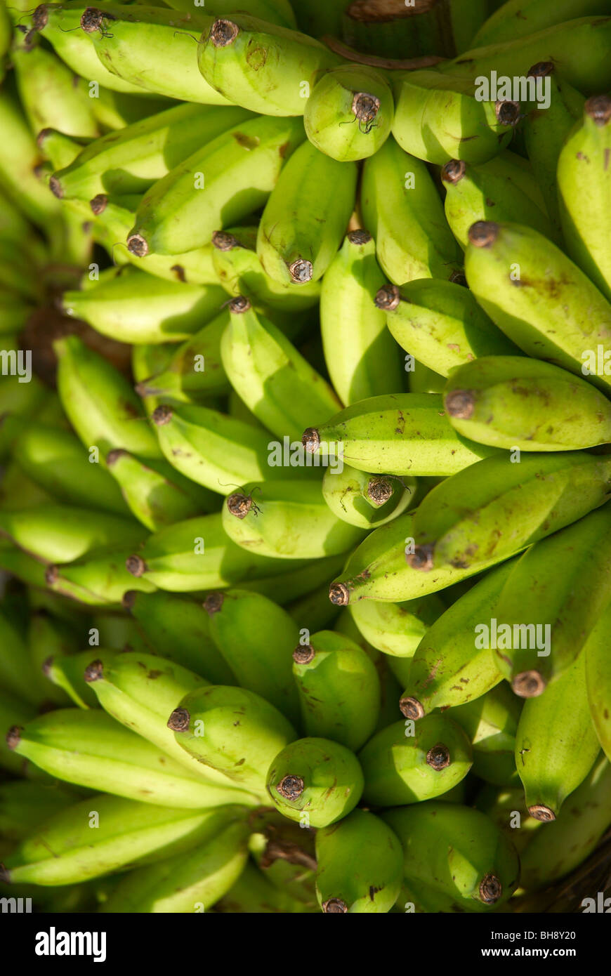 Bananas fruit fruits hires stock photography and images Alamy