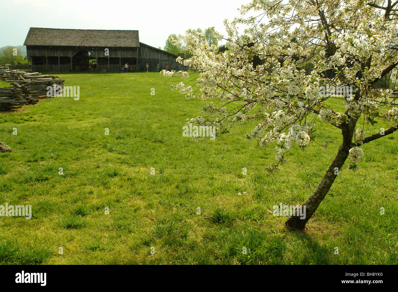 AJD64409, Piney Flats, TN, Tennessee, Rocky Mount State Historic Museum, barn Stock Photo