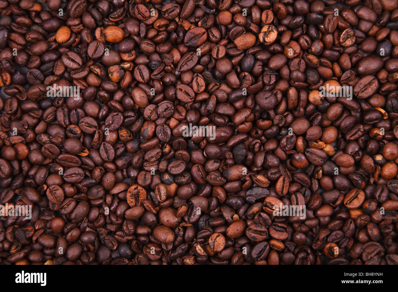 Macro of coffee beans Stock Photo - Alamy
