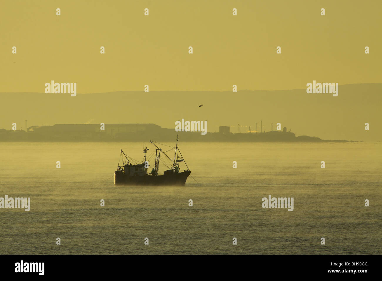 A fishing trawler off the coast at Irvine at dawn Ayrshire Scotland Stock Photo