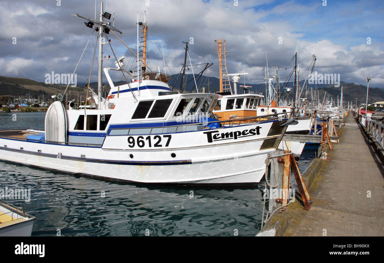 Fishing boats at Nelson Marina, Tasman Bay, South Island New Zealand