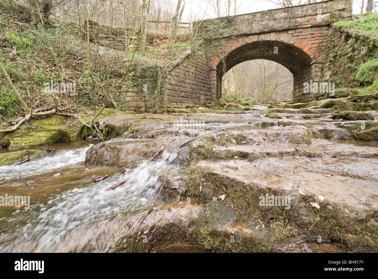 Falling Foss in the Sneaton Forest near Whitby, Yorkshire England Stock Photo