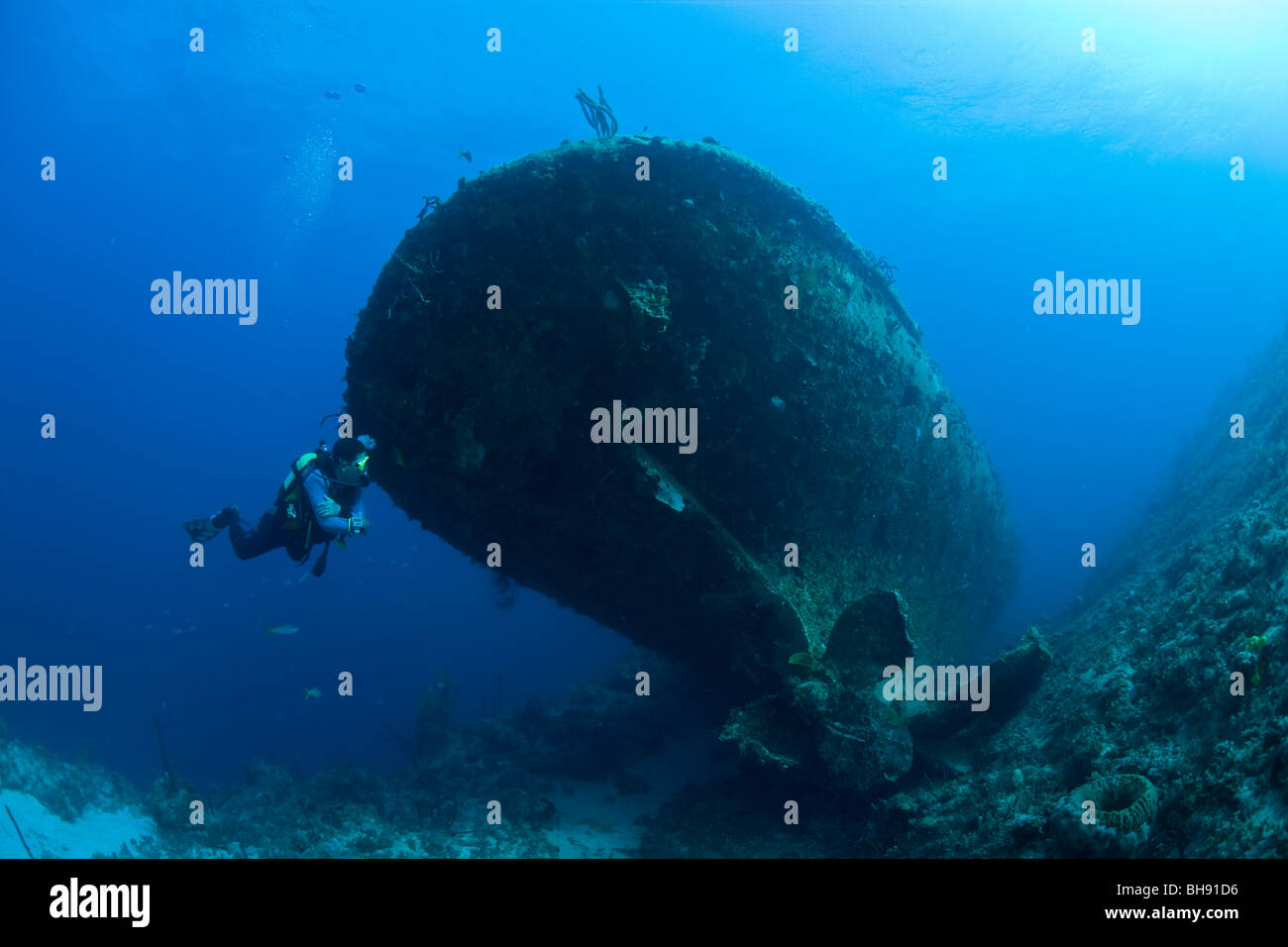 Scuba Diver on Virgen de Altagracia Wreck, Santa Lucia, Caribbean Sea, Cuba Stock Photo