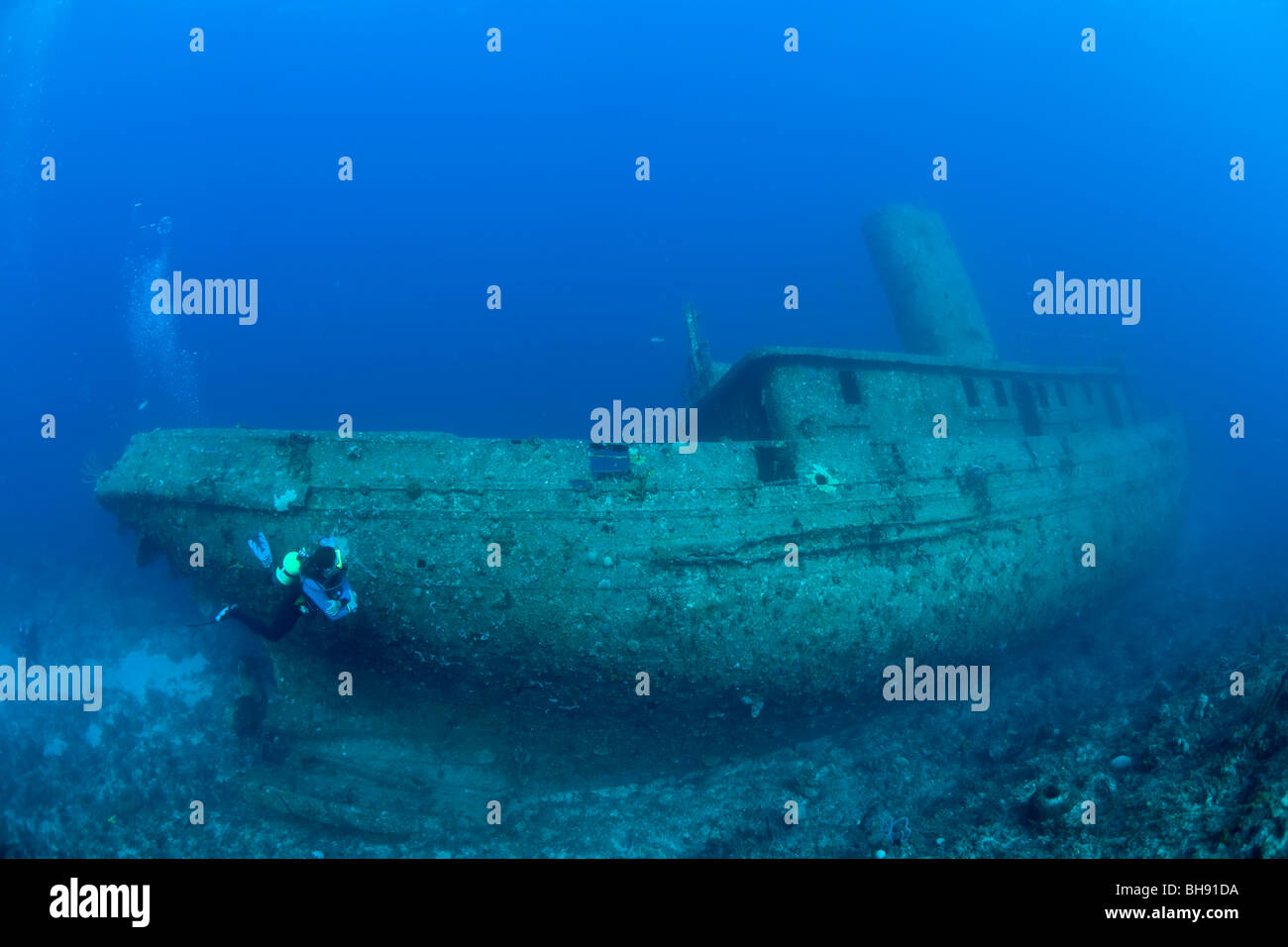 Scuba Diver on Virgen de Altagracia Wreck, Santa Lucia, Caribbean Sea, Cuba Stock Photo