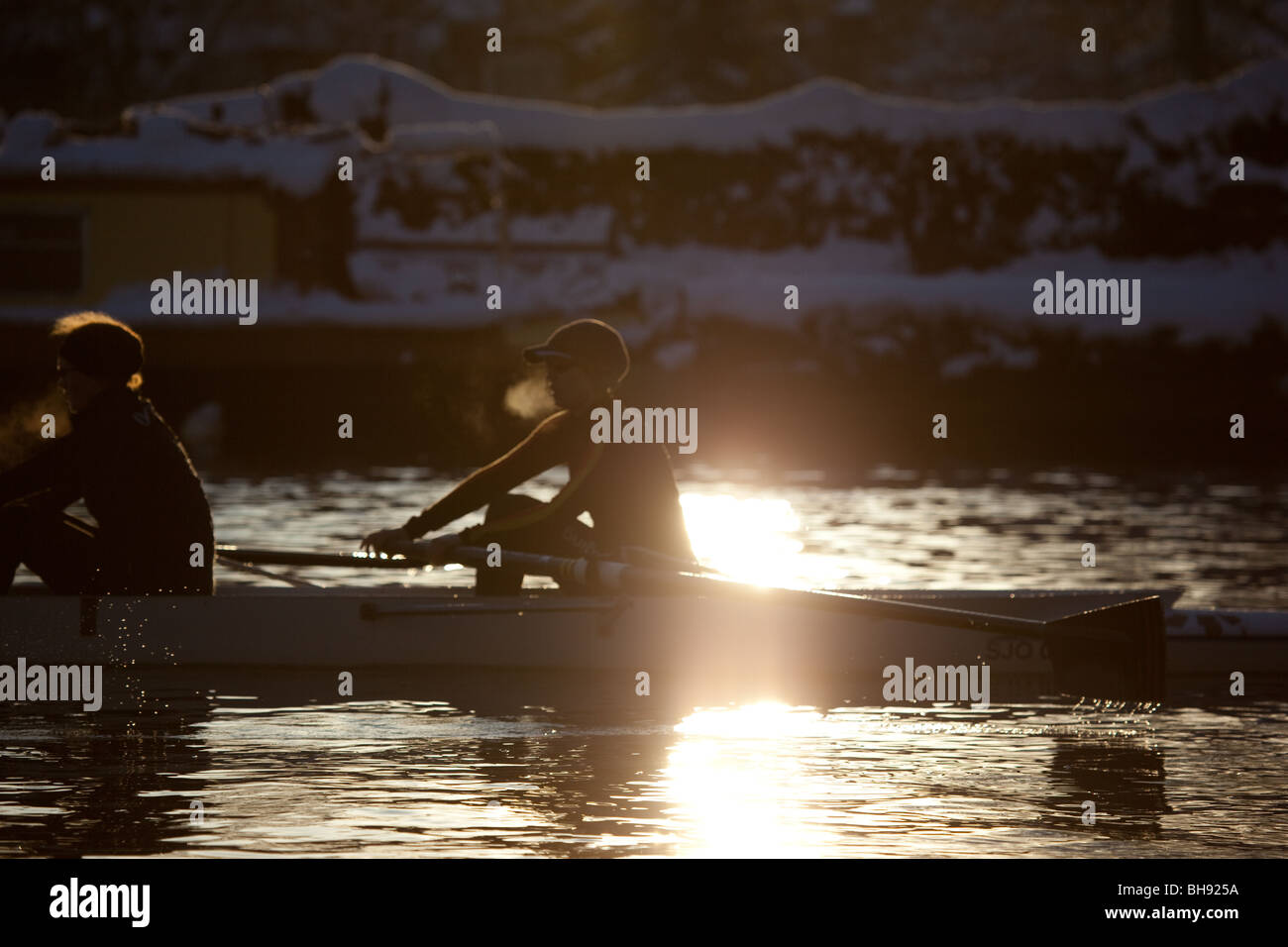 Winter Rowing in Oxford Stock Photo Alamy