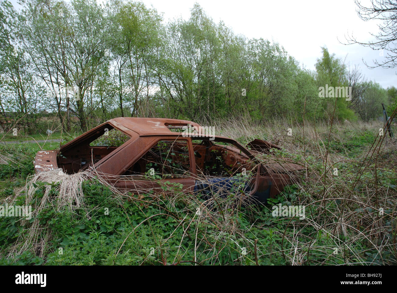 Stolen, burnt out, wrecked car abandoned and overgrown with nettles. Stock Photo
