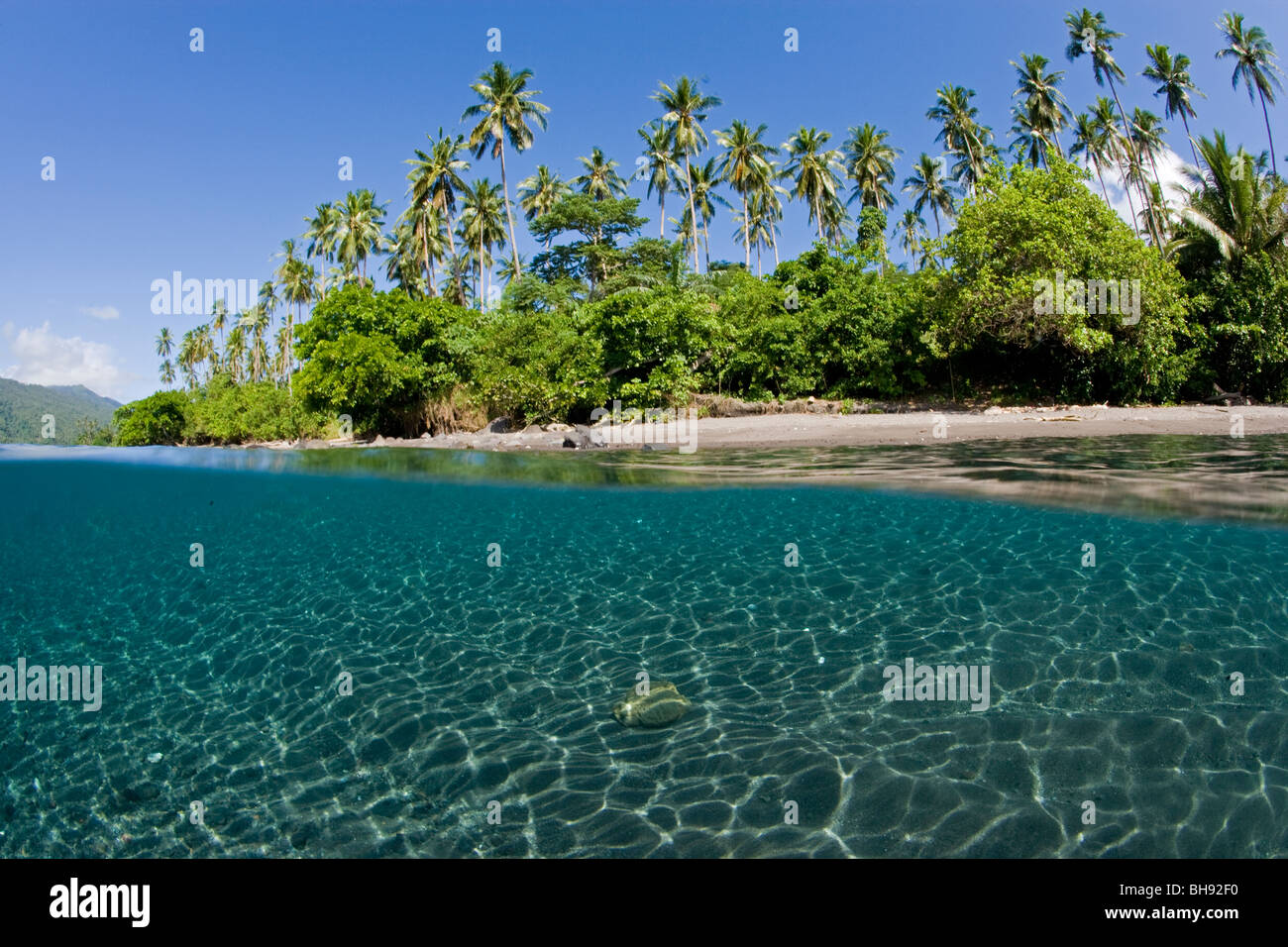 Palm lined Beach of Tahulandang Island, Sangihe-Talaud Archipelago, Sulawesi, Indonesia Stock Photo