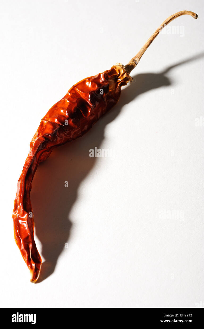 red chilli pepper Stock Photo