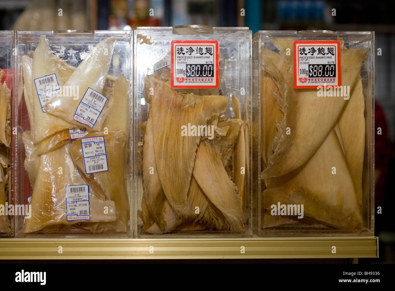Dried Shark Fins in Store for Sale, Chinatown, Singapore Stock Photo
