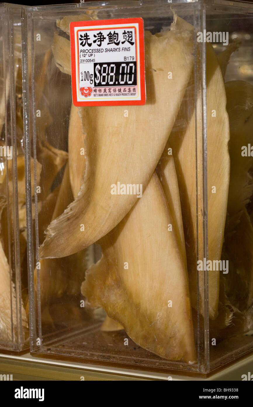 Dried Shark Fins in Store for Sale, Chinatown, Singapore Stock Photo