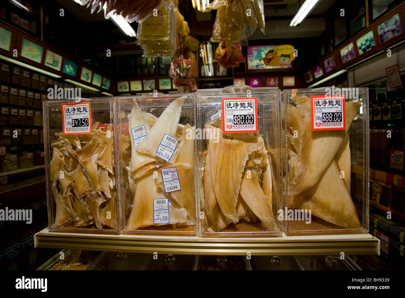 Dried Shark Fins in Store for Sale, Chinatown, Singapore Stock Photo