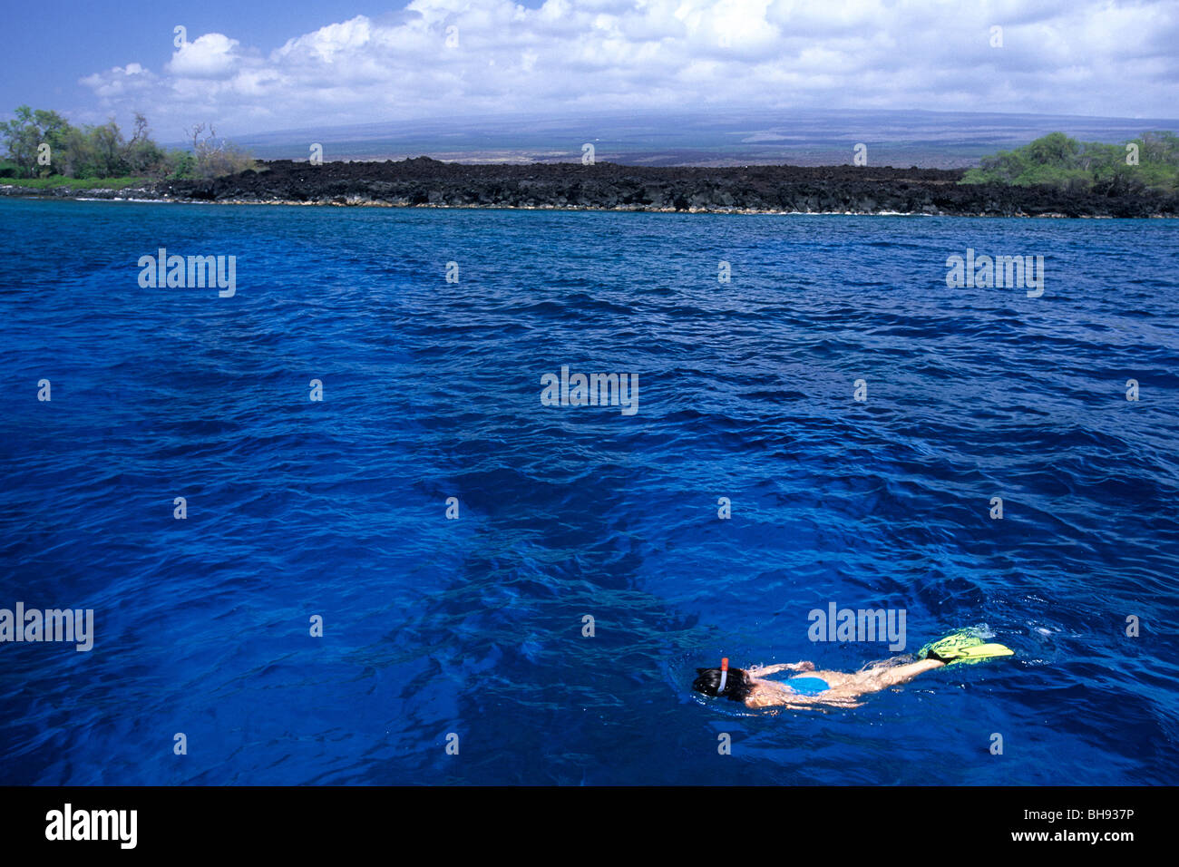 Snorkeling at Coast of Hawaii, Kona, Big Island, Hawaii, USA Stock Photo