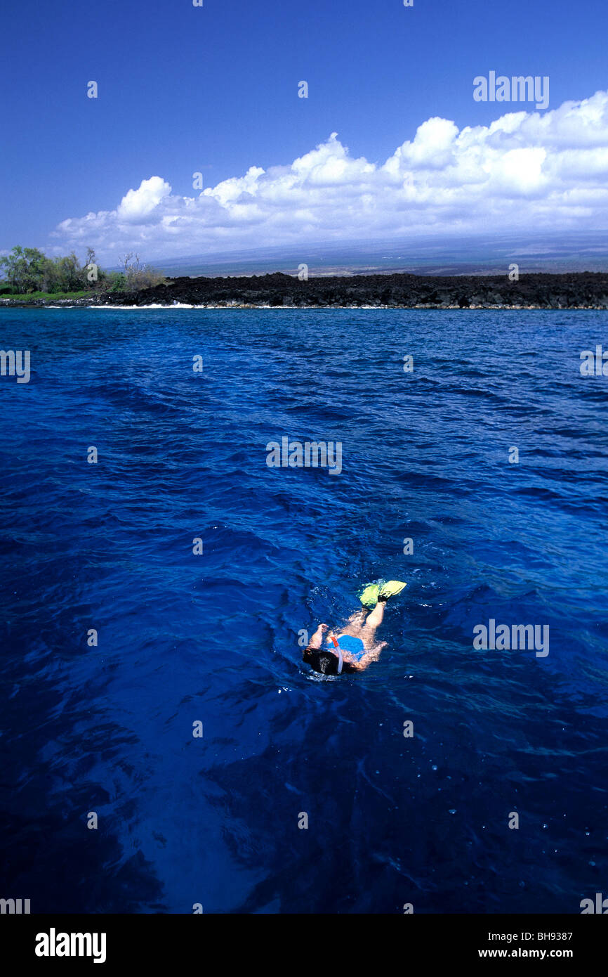 Snorkeling at Coast of Hawaii, Kona, Big Island, Hawaii, USA Stock Photo