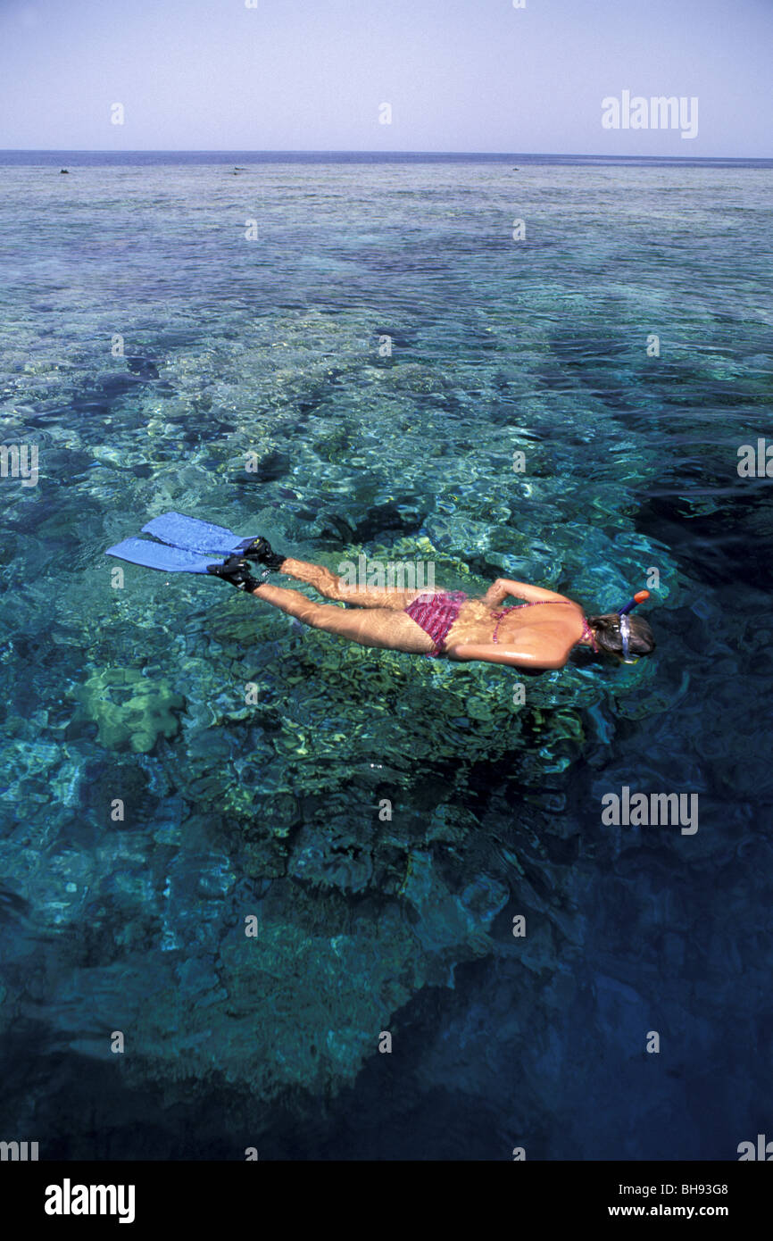 Snorkeler and saudi hires stock photography and images Alamy
