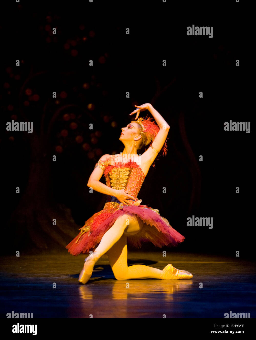 Birmingham Royal Ballet. The Firebird Stock Photo Alamy
