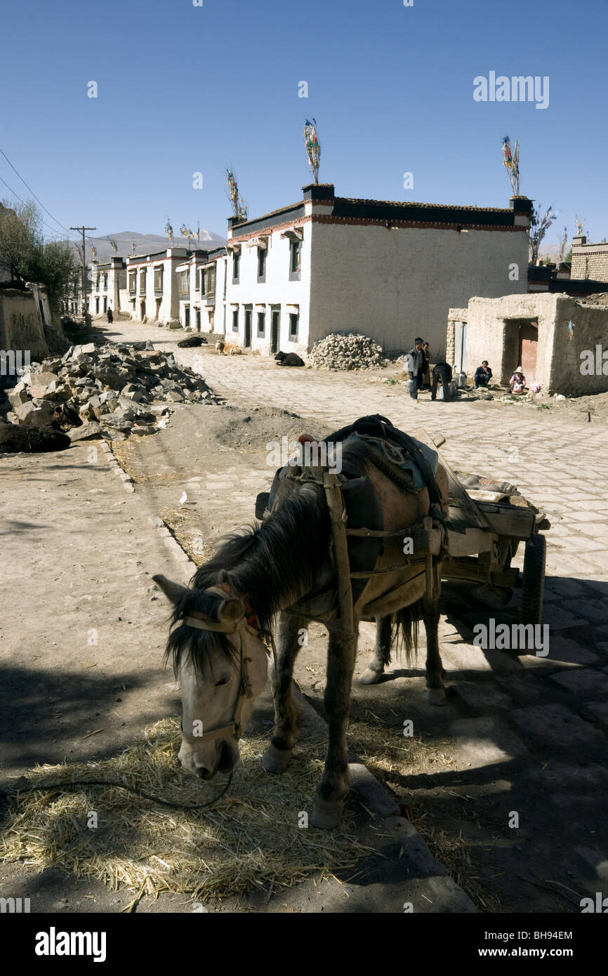 scene in the old town of gyantse tibet with donkey cart Stock Photo