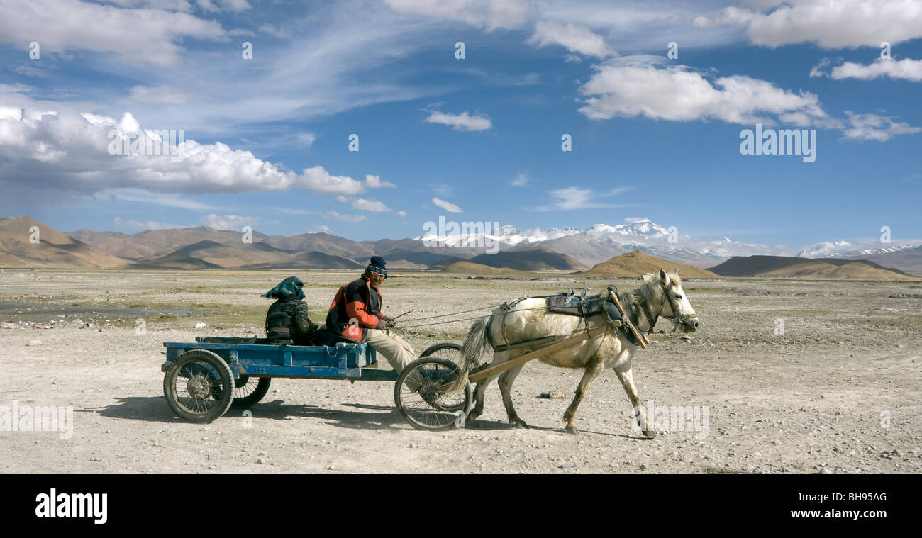 tibetan horse and cart crossing in front of a view of the himalayan peaks including everest at tingri or tingre Stock Photo
