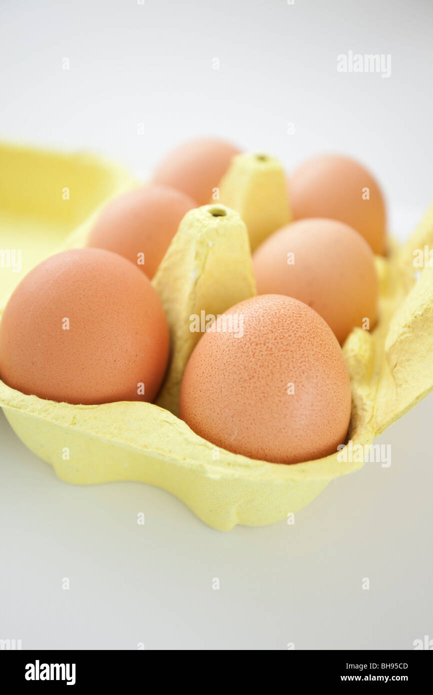 Fresh Brown Organic Eggs in a Yellow Carton on a White Background Stock Photo