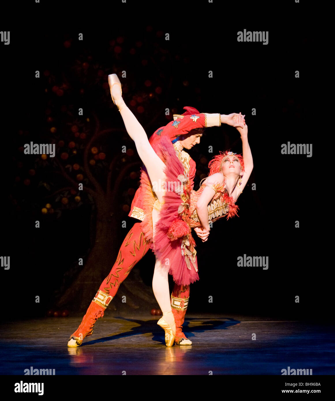 Birmingham Royal Ballet. The Firebird Stock Photo Alamy