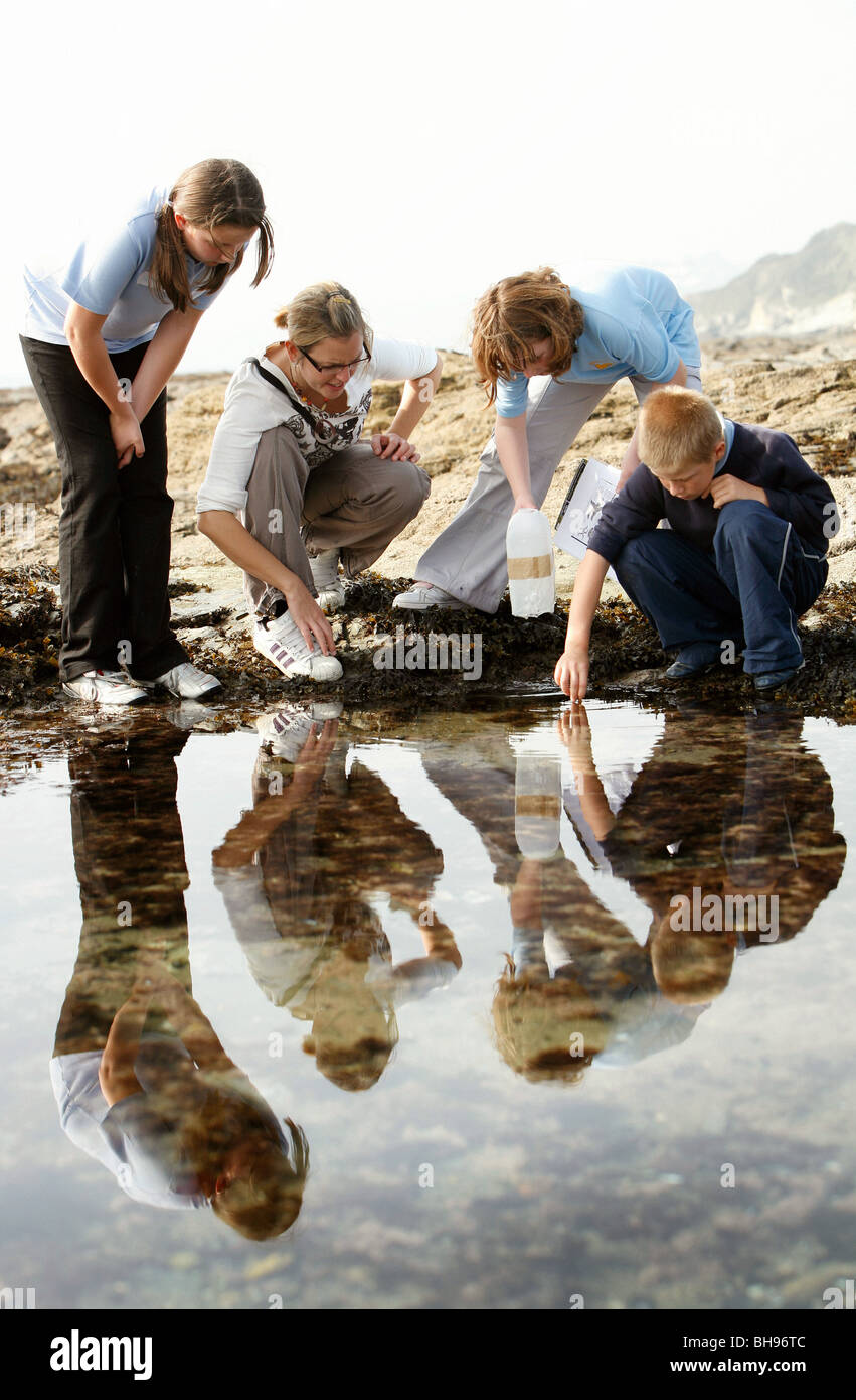 Collecting rock samples hi-res stock photography and images - Alamy