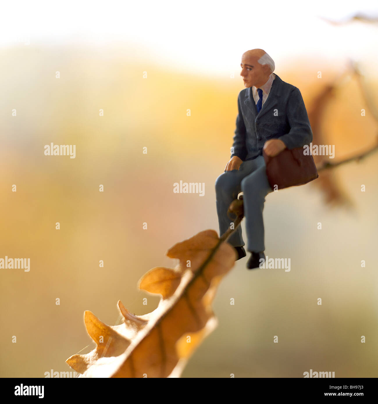 Old man / senior figurine sitting on a branch of tree in autumn Stock Photo