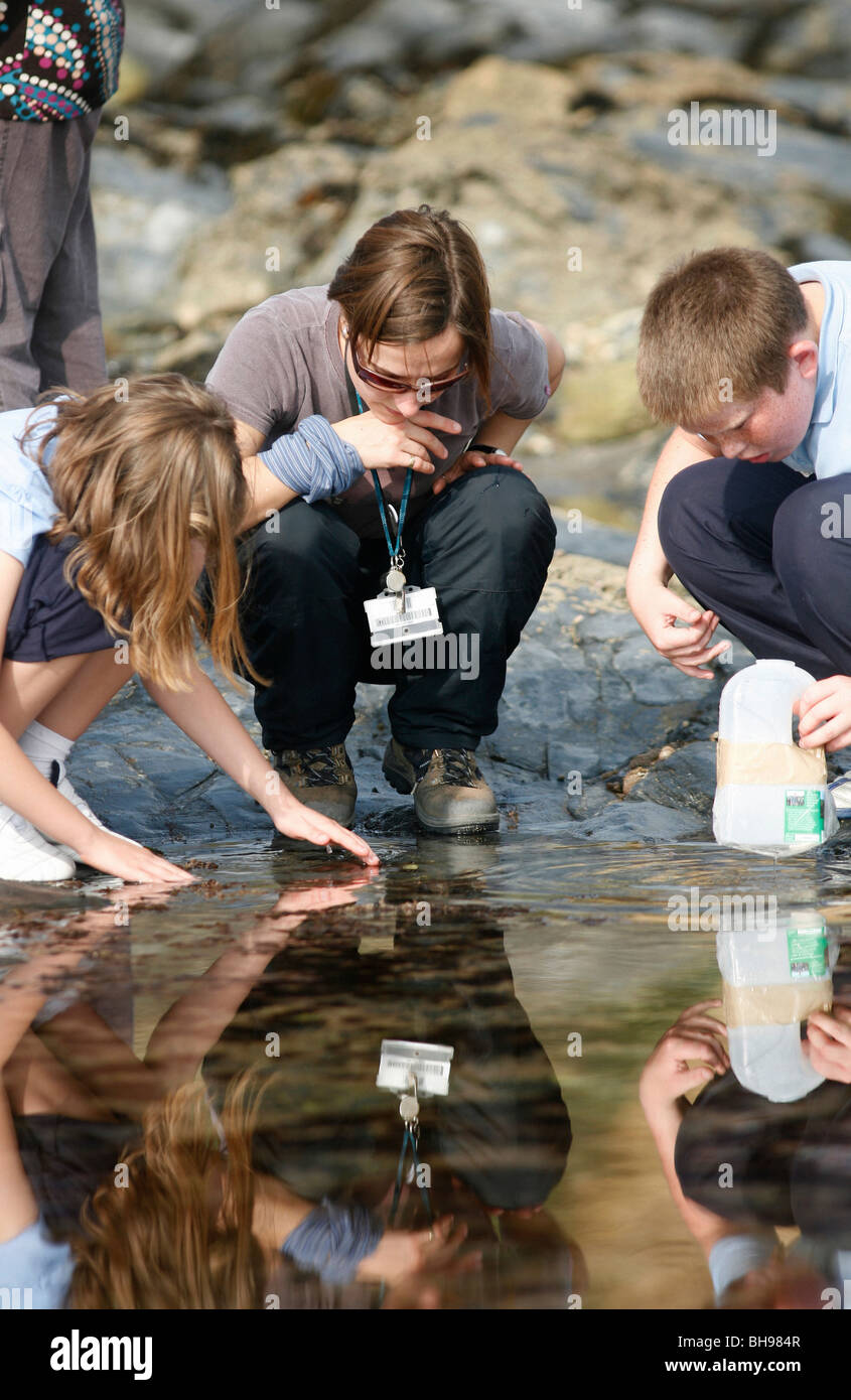 children-on-a-school-trip-to-the-beach-collecting-samples-of-sea-water