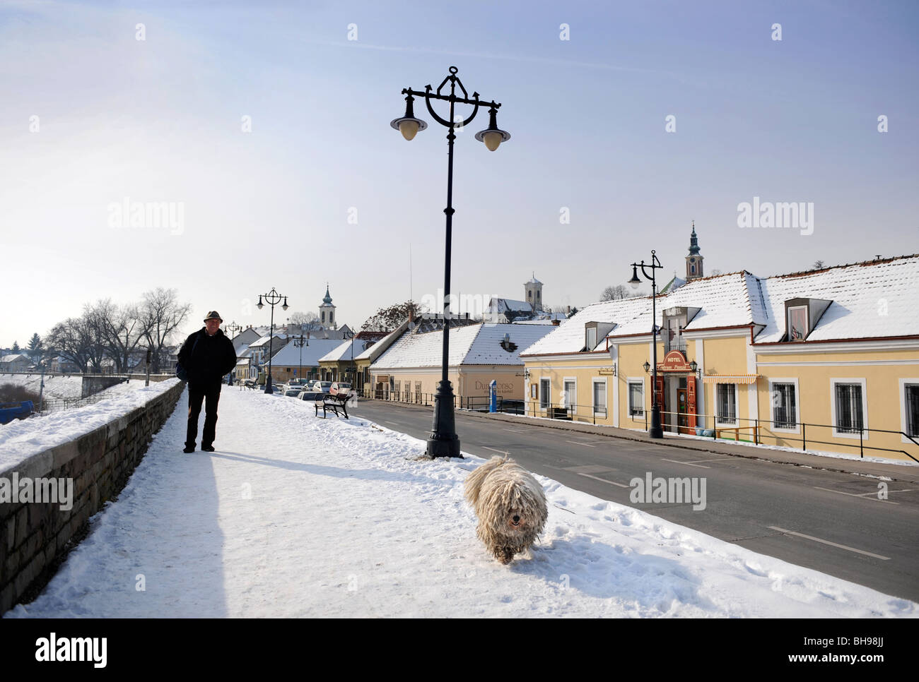 Winter scene in Szentendre Hungary with a man walking a traditional Hungarian Puli Sheepdog Stock Photo