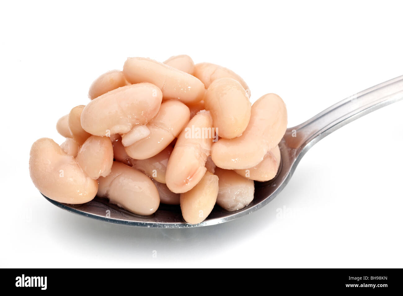 Spoonful of cooked Cannellini beans Stock Photo