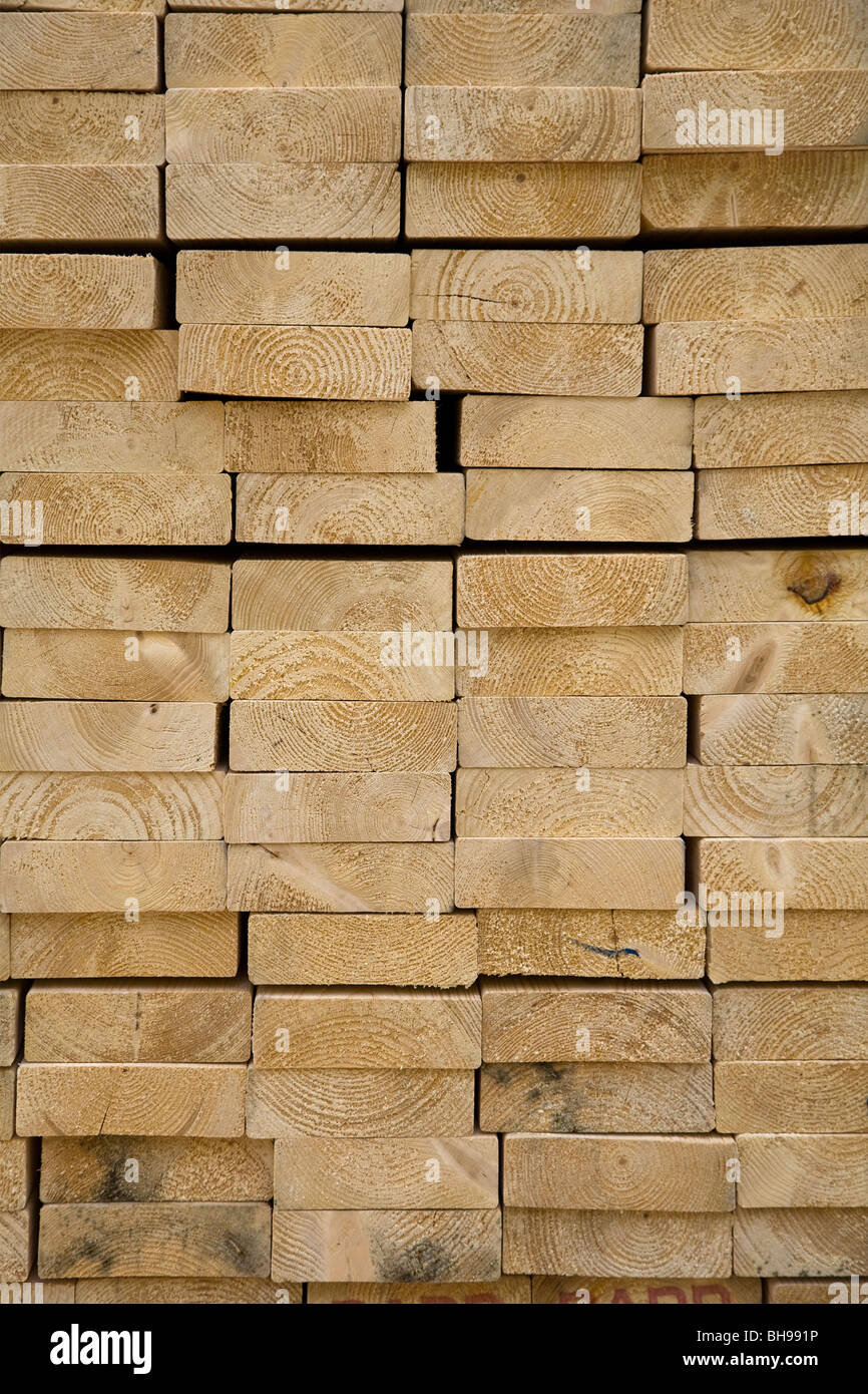 End grain pine timber pile Stock Photo