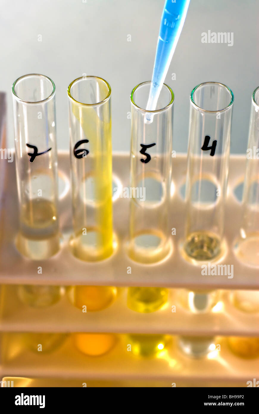 Conceptual image of a science experiment. Test tubes in a rack Stock