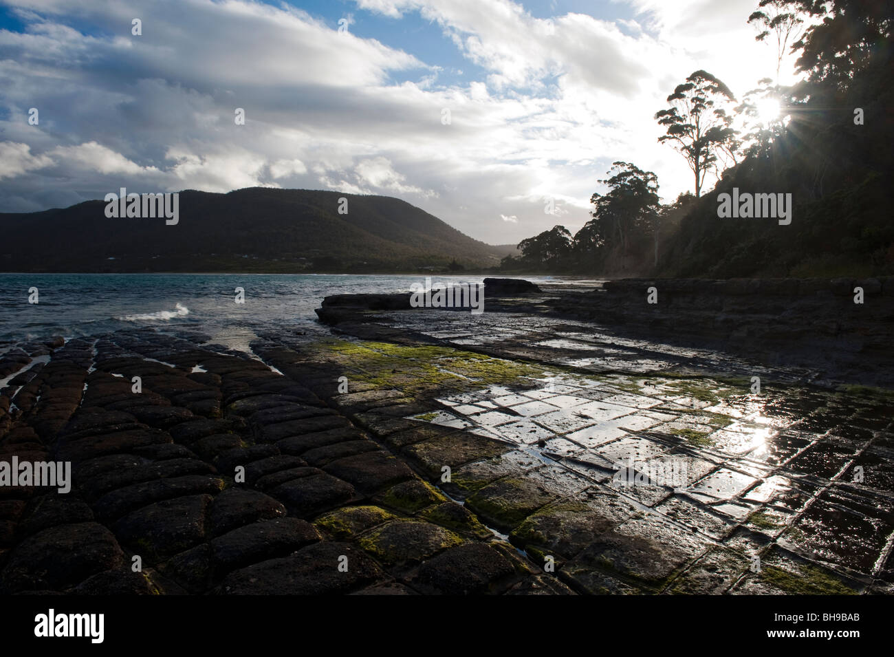 The Tessellated Pavement near Eagle Hawk Neck on the Tasman Peninsula, Tasmania, Australia Stock Photo