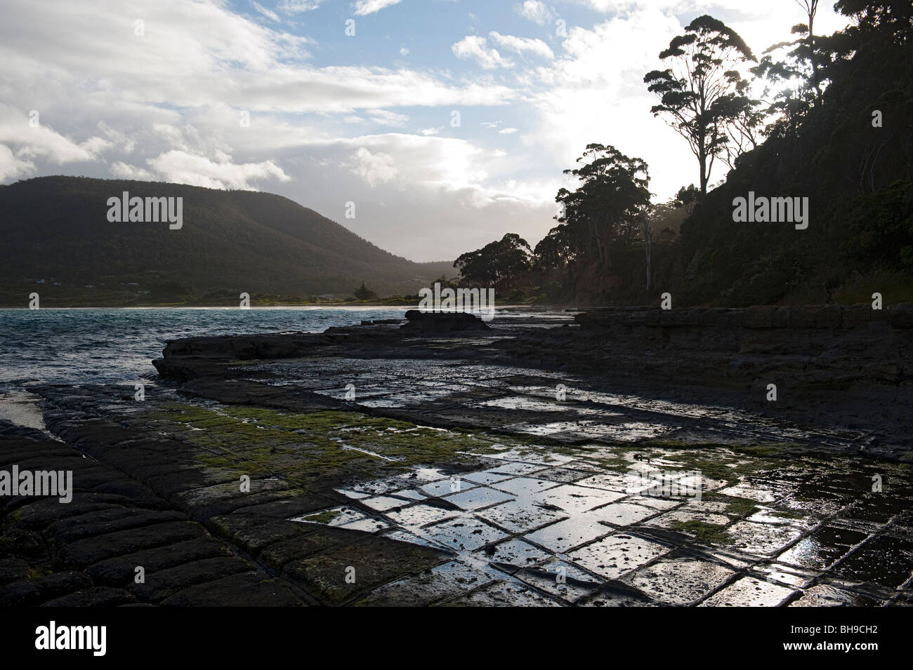 The Tessellated Pavement near Eagle Hawk Neck on the Tasman Peninsula, Tasmania, Australia Stock Photo