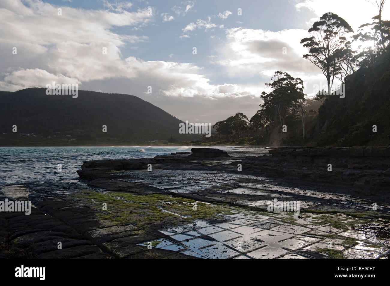 The Tessellated Pavement near Eagle Hawk Neck on the Tasman Peninsula, Tasmania, Australia Stock Photo