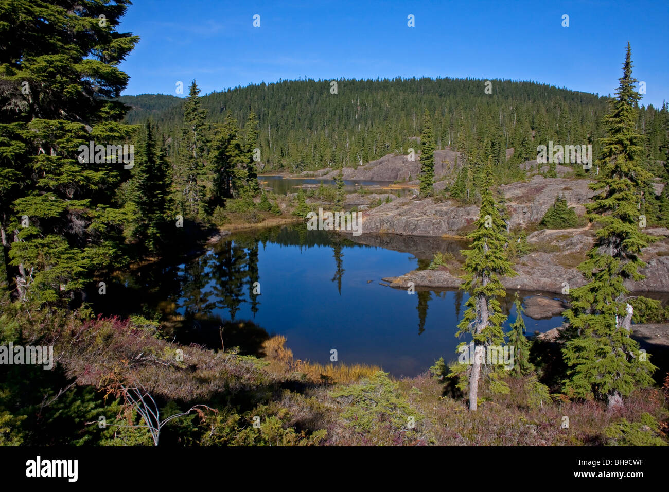 Sub-alpine tarns at the Forbidden Plateau Strathcona Park Vancouver Island BC Canada in October Stock Photo