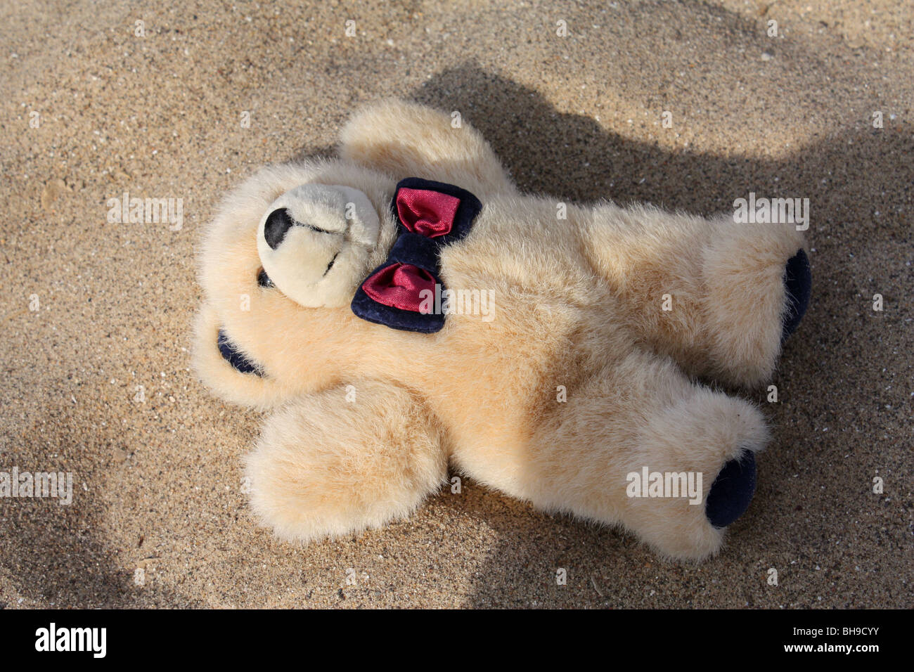 Teddy bear abandoned on a beach Stock Photo - Alamy